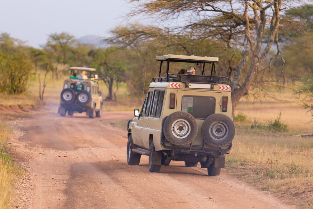 African Safaris